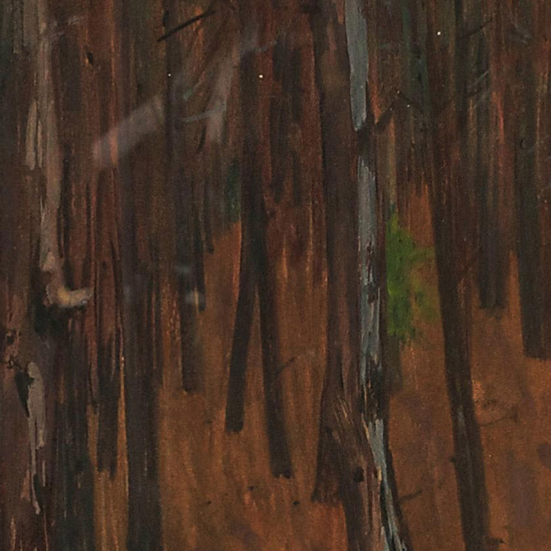 Forest Interior by Hans Tichy - 0_6744836cfaa684e1cf4ba751