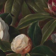 Camelias and Rhododendrons by J.L. Jensen - 0_67672fb7b7c995d950163fda