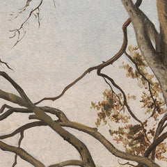 Woodland Scene with a Dead Tree by Hermann Carmiencke - 0_67674005b7c995d9501640b4