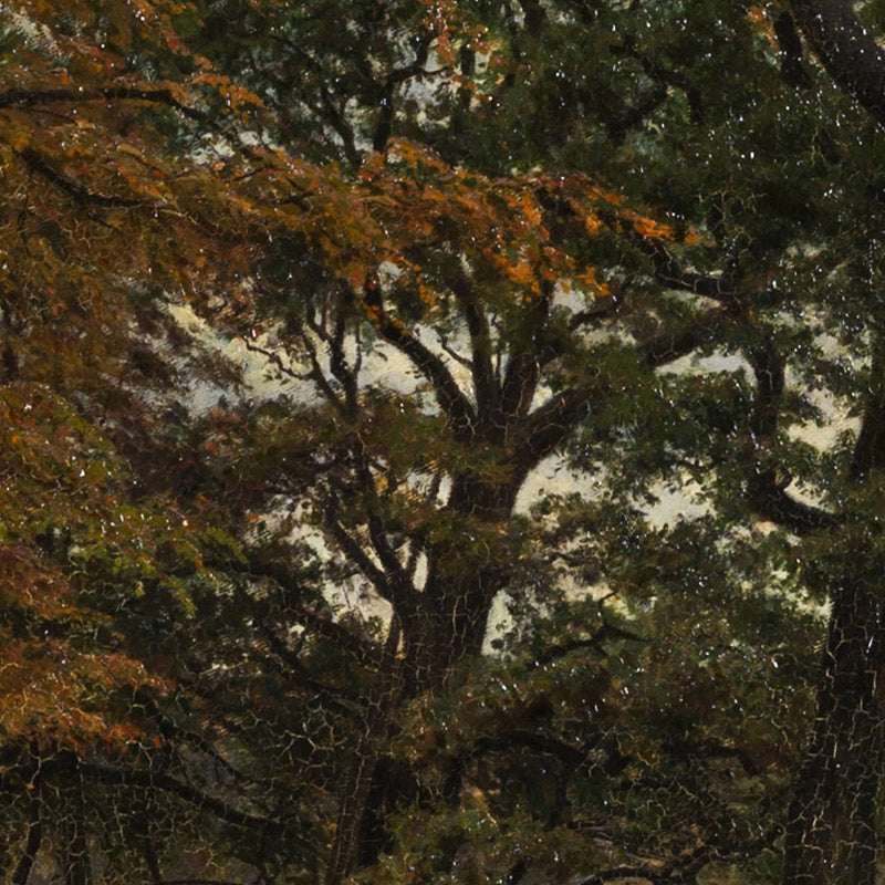 A run-up road under old trees. by Viggo Pedersen - 0_676749e3b7c995d95016412c