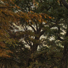 A run-up road under old trees. by Viggo Pedersen - 0_676749e3b7c995d95016412c