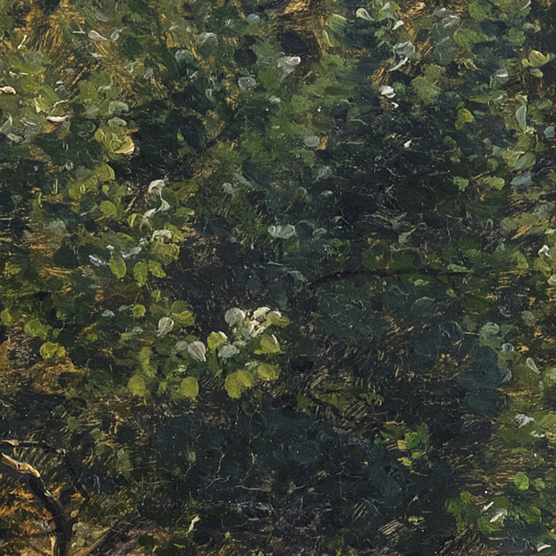 Elm bush by Almind Lake by Janus la Cour - 0_67674a4db7c995d950164140