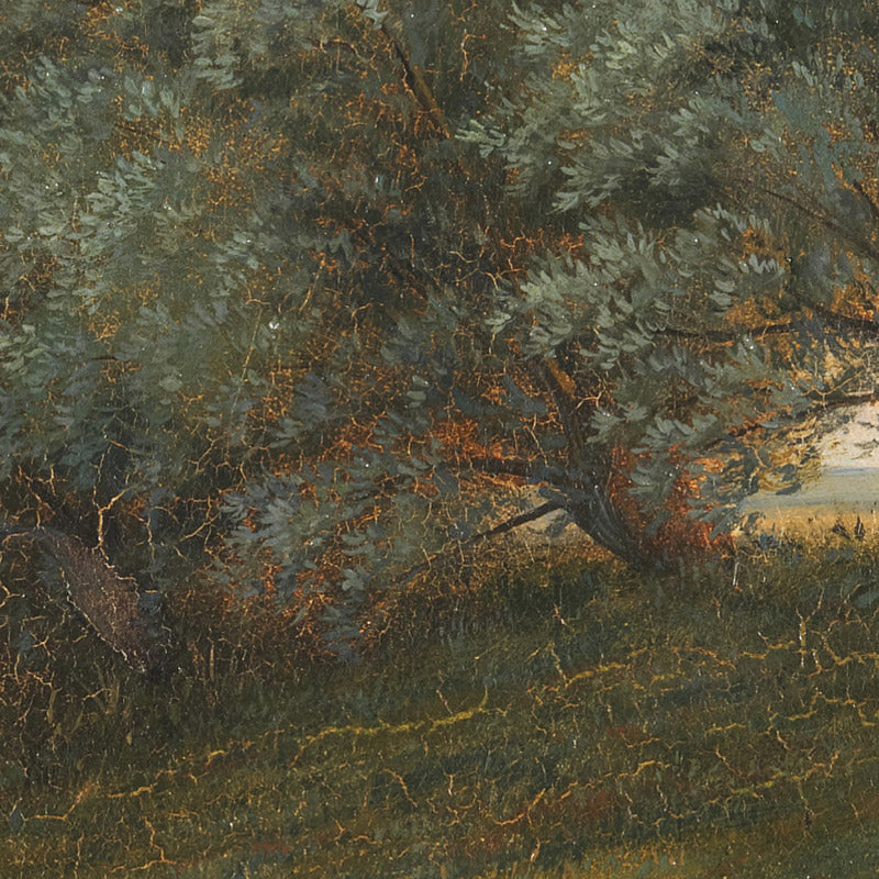 A Meadow by Unknown - 0_67674d22b7c995d9501641a3