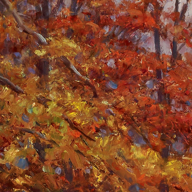 Woods Interior by John E. Bundy - 0_676ee850e83ae7ff01b29a56