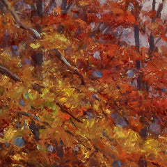 Woods Interior by John E. Bundy - 0_676ee850e83ae7ff01b29a56