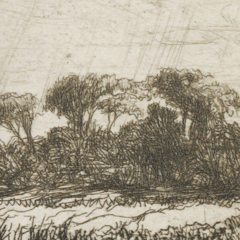 A water meadow by Sir Francis Haden - 0_6845fddf489bc5bada5cf702