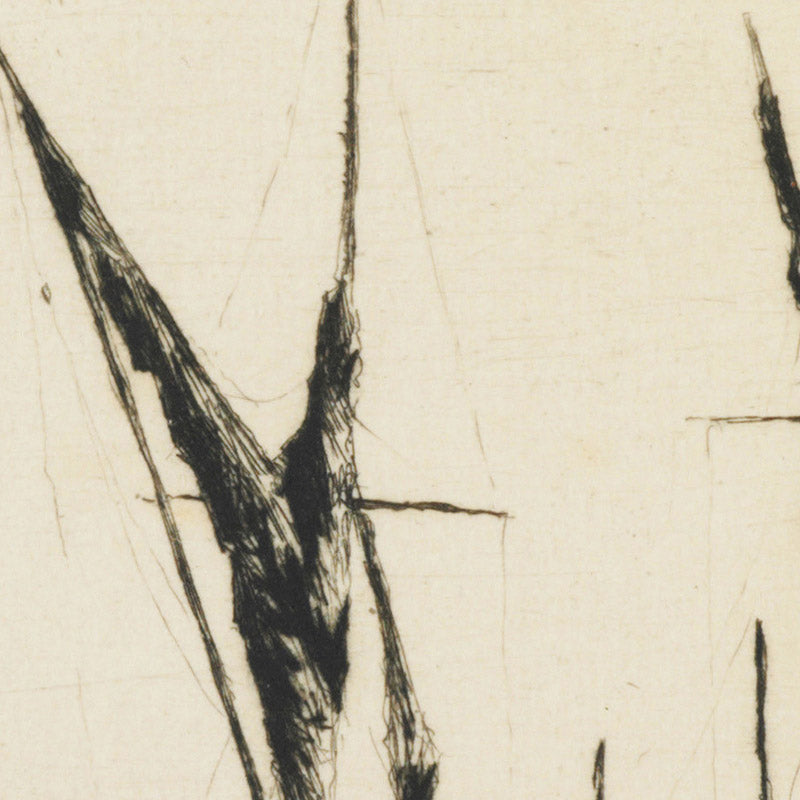 Sunset at Heybridge basin by Martin Hardie - 0_68460267489bc5bada5cf739