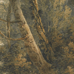 A scene in the woods at Bolton Abbey, Yorkshire by James Bourne - 0_684604c5489bc5bada5cf766