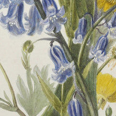 Bunch of wild flowers by Dolly Gurney - 0_6846a7c91483fa5b35558fdf