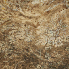 Study of trees on a bank by Unknown - 0_6846a8b51483fa5b35558ff7