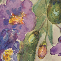 Solanum aviculare by Miss Fanny Richardson - 0_6846aa341483fa5b3555901b