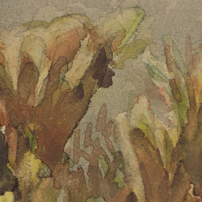 Mytilus canaliculus, Baryspira australis, Xiphophora chondrophylla by Miss Fanny Richardson - 0_6846aa491483fa5b3555901d