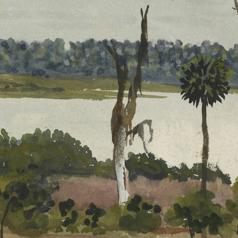 Lake Apopka, Florida by Walter Crane - 0_6846ae321483fa5b35559074