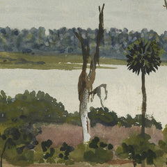 Lake Apopka, Florida by Walter Crane - 0_6846ae321483fa5b35559074