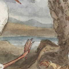 Frog and bird by Alfred Crowquill - 0_6846ae9c1483fa5b35559085