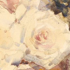 Roses (white) by Margaret Stoddart - 0_6846af9e1483fa5b3555909b