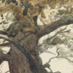 Oak in Kettlestone Park by James Crowe Richmond - 0_6846b2051483fa5b355590cd