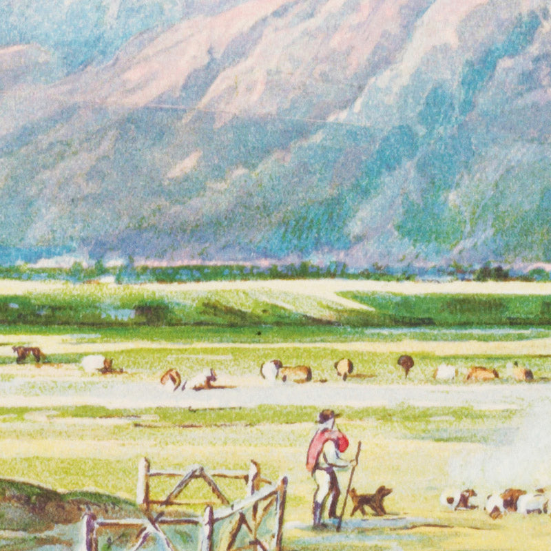 New Zealand Graphic and Descriptive. Mount Alford by Charles Decimus Barraud - 0_6846dd021483fa5b355591af