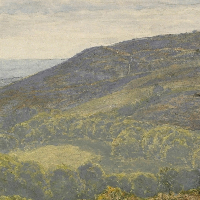 Ewhurst Hill, Surrey by Frank Walton - 0_6846e01e1483fa5b355591ec