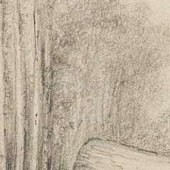 Hutt Road, round the first gorge, looking down by William Swainson FLS FRS - 0_6846e50c1483fa5b3555925d