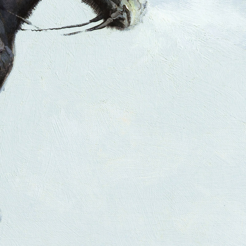 0_69b4316e3dbd5d2a1d8c7699.jpg