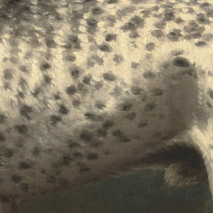 0_69e0917dc1725c2331acd86a.jpg