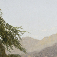 0_69e12ad8c1725c2331acd96f.jpg