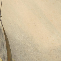 0_69e40012c1725c2331acdd9c.jpg