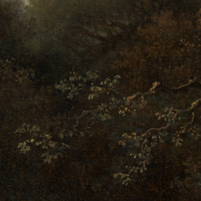 0_69e4f40d123e4f587a6cda45.jpg