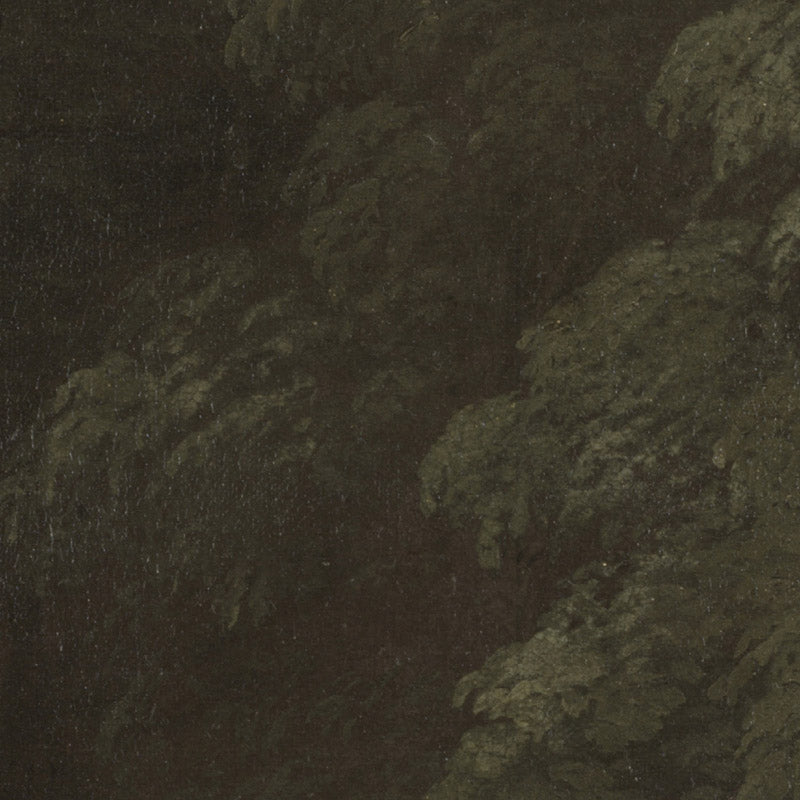 0_69e51050123e4f587a6cda6a.jpg