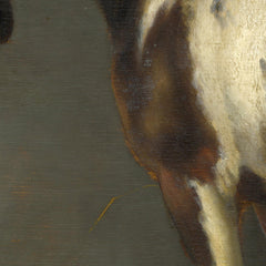 0_6a304cbfeb9867091b06e1b9.jpg