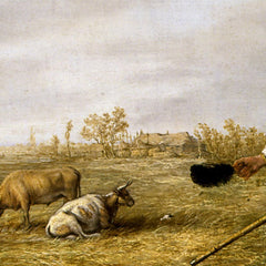 0_6a316e16eb9867091b06e1ec.jpg