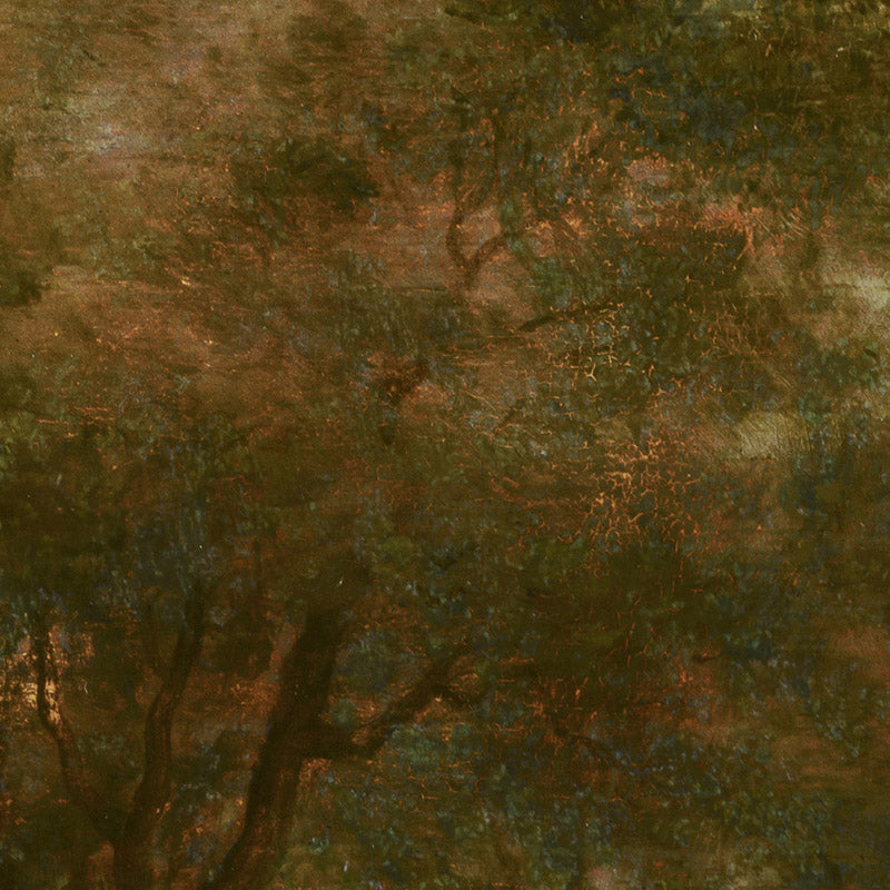 0_6a3a818354744a3abfcf82be.jpg