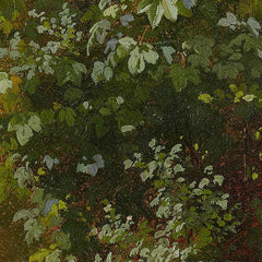 0_6a3abecc54744a3abfcf82fe.jpg
