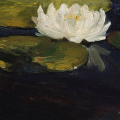 0_6a3d370d54744a3abfcf8383.jpg