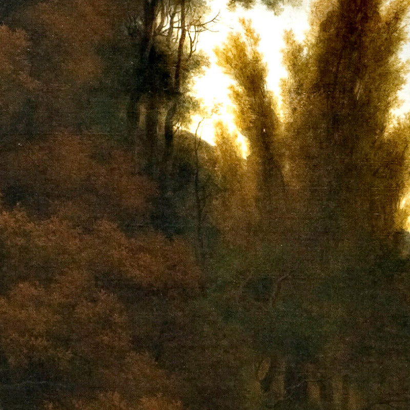 0_6a6c5ba899396138bb2ad036.jpg
