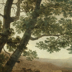 0_6a6e5799678877258c0efab7.jpg