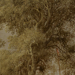 0_6a71d3df758ac6e8c3ce6d25.jpg