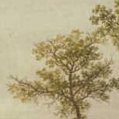 0_6a91f3aaef0d0e364ed782b4.jpg