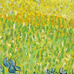 Field with Irises near Arles by Vincent van Gogh - 1_66488f03bc76b73548b8c992