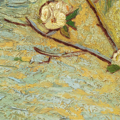 Small Pear Tree in Blossom by Vincent van Gogh - 1_66488f0ebc76b73548b8c994