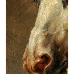 Head of a Horse by Eugène Verboeckhoven - 1_66aeacc11000f9bb7f31f4de