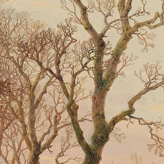 A Frozen Canal near the River Maas by Andreas Schelfhout - 1_66fc596e8213847b6f3579b9