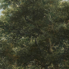 Forest Scene by Jacob Isaacksz van Ruisdael - 1_66fe607e8213847b6f357bab