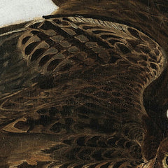 Peregrine Falcons (Duck Hawks) by John James Audubon - 1_671034a5762cab4eff787132
