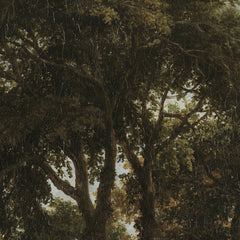 A Cottage in the Woods by Meindert Hobbema - 1_671037ff762cab4eff787163