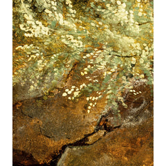 The Cave by Pierre Etienne Théodore Rousseau - 1_67164fec79e456cb766b906b