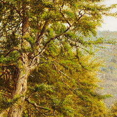 Landscape by Alexander Helwig Wyant - 1_671653ec79e456cb766b90a4