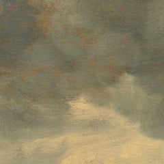 View of Haarlem and the Haarlemmer Lake by Jan van Goyen - 1_67312f3412f9211d49d3d772