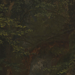 Study of Rocks in Pearson's Ravine by Asher Brown Durand - 1_67392fd7746ff704b89f893b